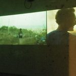 Rear Projection Screen
