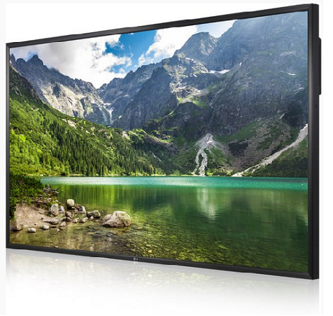 Large Display Screen