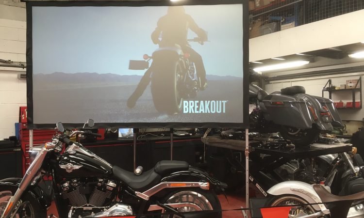 Outdoor Projection Screen
